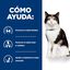 156 g Hill's Prescription Diet Thyroid Care y/d Pollo lata para gatos, , large indicador imagen numero 3